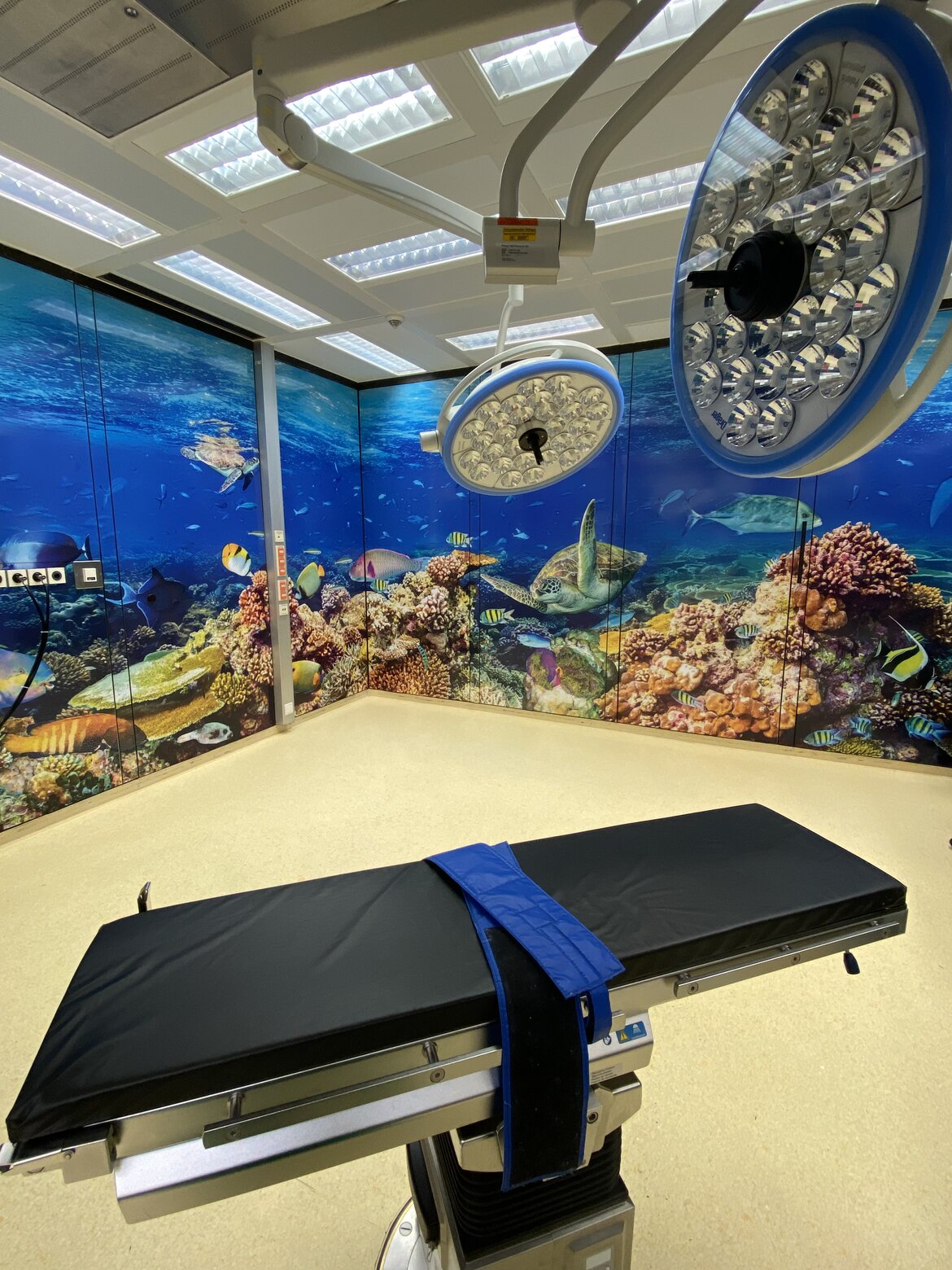 Unterwasserwelt-OP-Saal-Universitätsmedizin-Göttingen Auf dem Bild zu sehen ist der aus freien Spenden im Rahmen des FundRaising Fonds "Extra" neu gestaltete OP-Saal. Die Wände wurden mit Folien beklebt, wodurch eine bunter Unterwasserwelt mit vielen Meeresbewohner entstanden ist.