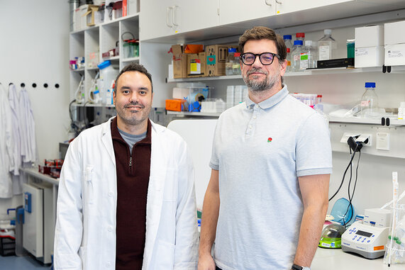 Picture for Press news "International research talents for the University Medical Center Göttingen"