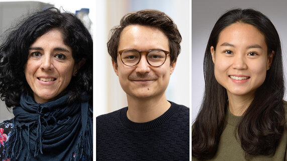 Link to the press release "New approach to heart failure: Researchers in Göttingen discover a genetic switch"